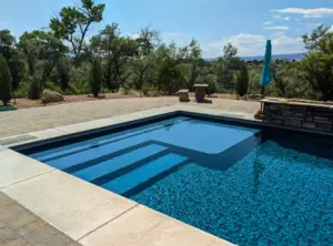Small Pool with tanning ledge
